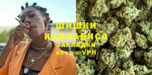 прущие грибы Арсеньев