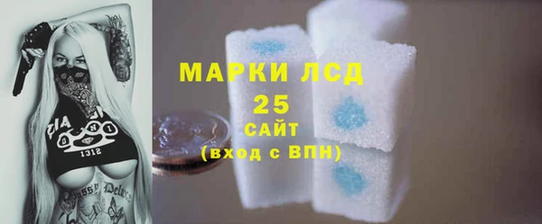 прущие грибы Арсеньев