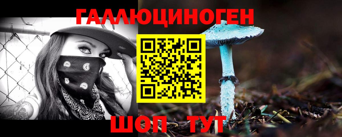 Кемерово  Псилоцибиновые грибы мухоморы  Вход с VPN  Галлюциногенные грибы мицелий 