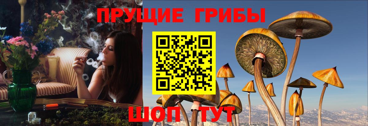 Псилоцибиновые грибы мухоморы Кемерово